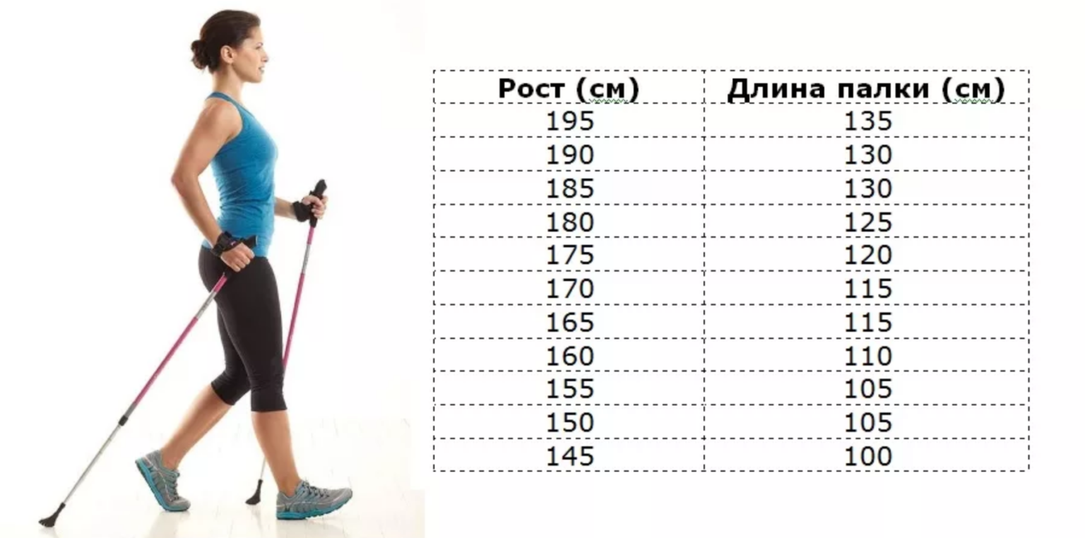 Какая нужна длина. Как выбрать длину палок для скандинавской ходьбы по росту таблица. Как подобрать палки для скандинавской ходьбы по росту таблица. Размер палок для скандинавской ходьбы по росту таблица. Палки для скандинавской ходьбы таблица размеров.